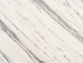CALACATTA CARRARA