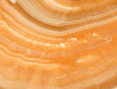 ONICE ARANCIO