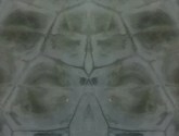 TARTARUGA