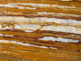TRAVERONYX